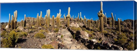 Framed View of the Isla del Pescado, Potosi Department, Bolivia Print