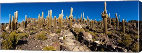 Framed View of the Isla del Pescado, Potosi Department, Bolivia Print