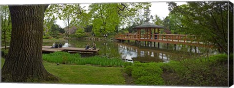 Framed Japanese garden, Wroclaw, Poland Print