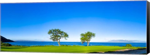 Framed Makena Golf Course, Hawaii Print