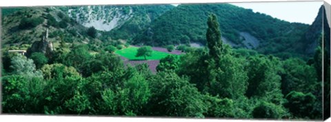 Framed Cherry Trees in Lavender fField, Provence-Alpes-Cote d&#39;Azur, France Print