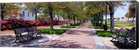 Framed Waterfront Park in Charleston, SC Print