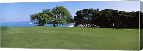 Framed Trees on a Golf Course, Manua Kea, Hawaii Print