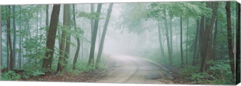 Framed Skyline Drive, Jackson-Washington State Forest, Indiana Print