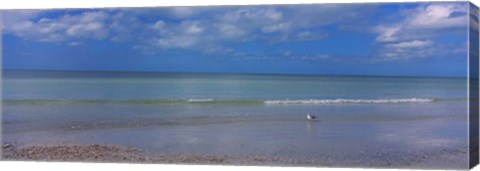 Framed Crescent Beach, Gulf Of Mexico, Florida Print