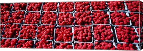 Framed Farmers Market Rochester, Minnesota Print