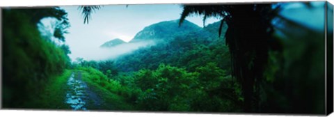 Framed Rainforest in Cayo District, Belize Print