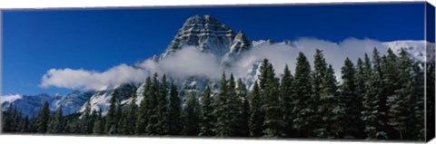 Framed Jasper National Park, Canadian Rockies Print