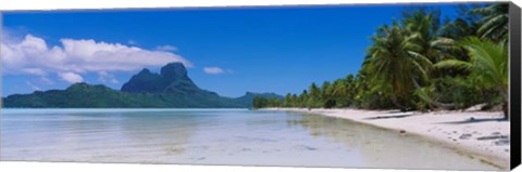 Framed Palm Trees in Bora Bora, French Polynesia Print