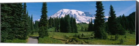 Framed Mt. Rainier National Park, Washington State Print