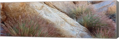 Framed Anza Borrego Desert State Park, Borrego Springs, California Print