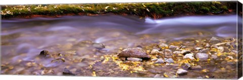 Framed Cimarron Creek, New Mexico Print