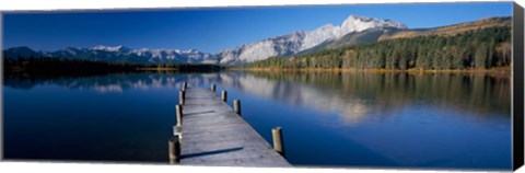 Framed Hector Lake, Mt John Laurie, Rocky Mountains,  Alberta, Canada Print