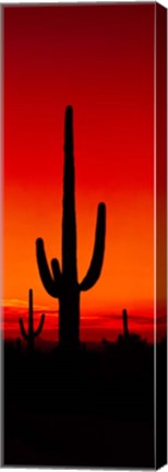 Framed Silhouette of Saguaro Cactus, Arizona Print