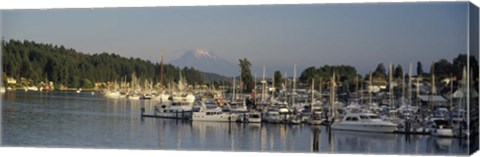 Framed Gig Harbor, Pierce County, Washington State Print