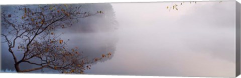 Framed Lake Vesuvius, Wayne National Forest, Ohio, Print