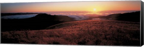 Framed Santa Cruz Mountains, CA Print