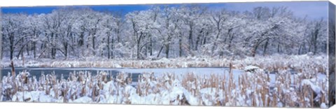 Framed Winter in Illinois Print
