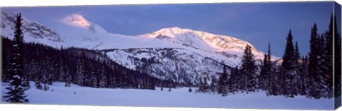 Framed Trophy Mountain, British Columbia, Canada Print