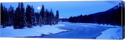 Framed Moon Rising Above The Forest, Banff National Park, Alberta, Canada Print