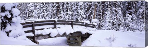 Framed Snowy Bridge in Banff National Park, Alberta, Canada Print