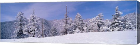 Framed Snow Covered Landscape, Colorado Print