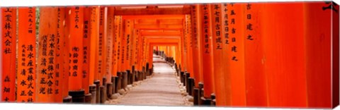 Framed Tunnel of Torii Gates, Fushimi Inari Shrine, Japan Print