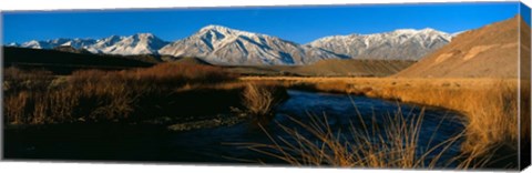 Framed Owens River, CA Print