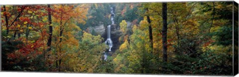 Framed Raven Cliff Falls, Sumter National Forest, Greenville County, South Carolina Print