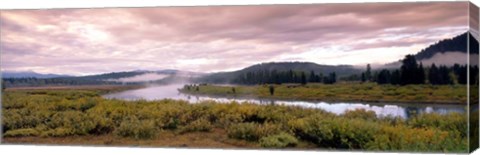 Framed Yellowstone Park, Snake River, Wyoming Print