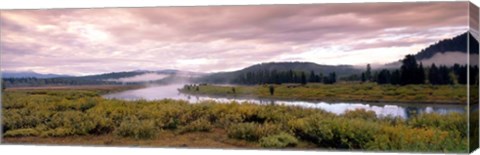 Framed Yellowstone Park, Snake River, Wyoming Print