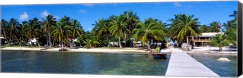 Framed Oceanfront Pier, Caye Caulker, Belize Print