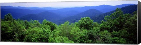 Framed Smoky Mountain National Park, Tennessee Print