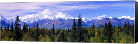 Framed Denali National Park, Alaska Print