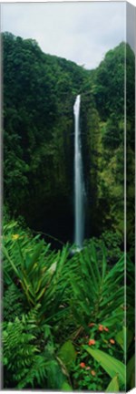 Framed Akaka Falls Print