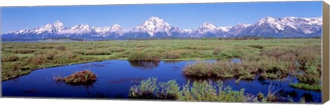 Framed Grand Teton Park, Wyoming (color) Print