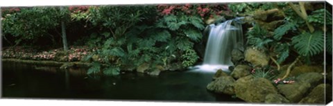 Framed Waterfall in Maui, Hawai Print