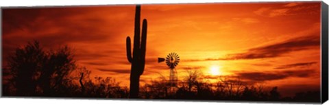 Framed Sonoran Desert Sunset, Arizona Print