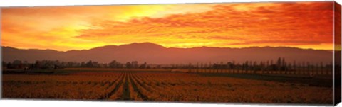 Framed Sunset over Napa Valley Print