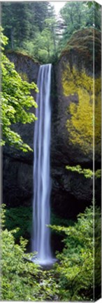 Framed Latourell Falls, Columbia River Gorge, Oregon Print