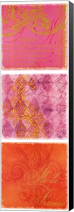 Framed Sorbet Script Paris I Print