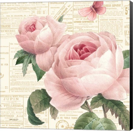 Framed Roses in Paris VI Print