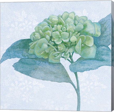 Framed Blue Hydrangea II Crop Print