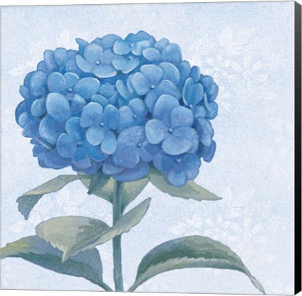 Framed Blue Hydrangea III Crop Print