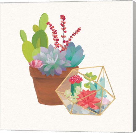 Framed Succulent Garden II Print