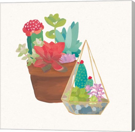 Framed Succulent Garden IV Print