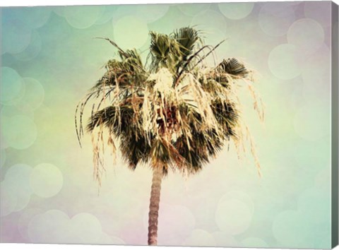 Framed Palm Trees III Print