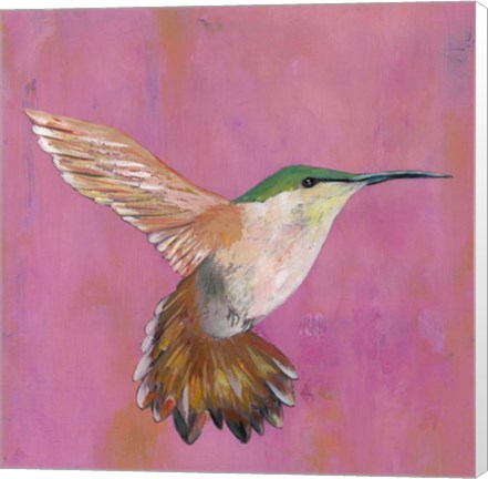 Framed Sweet Hummingbird I Print