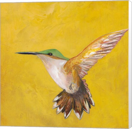 Framed Sweet Hummingbird II Print