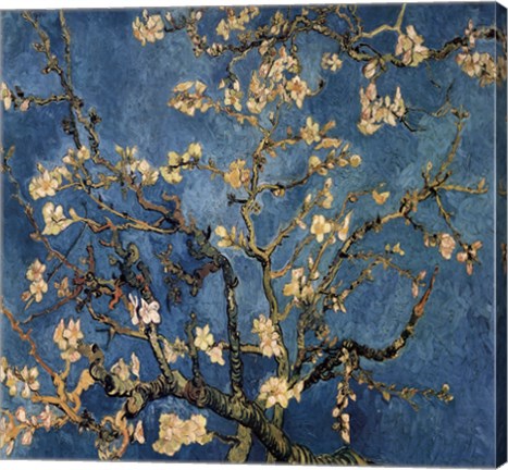 Framed Blossoming Almond Tree, Saint-Remy, c.1890 Detail Print